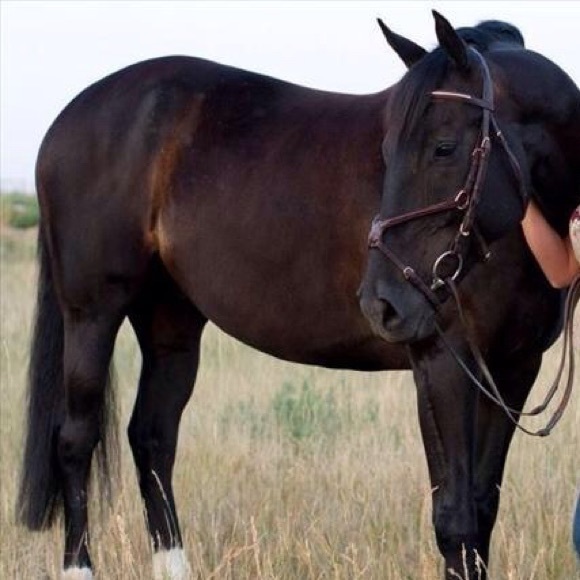 Meet your Posher, Holly - Picture 2 of 3